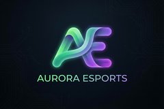 四虎合作品牌极光电竞